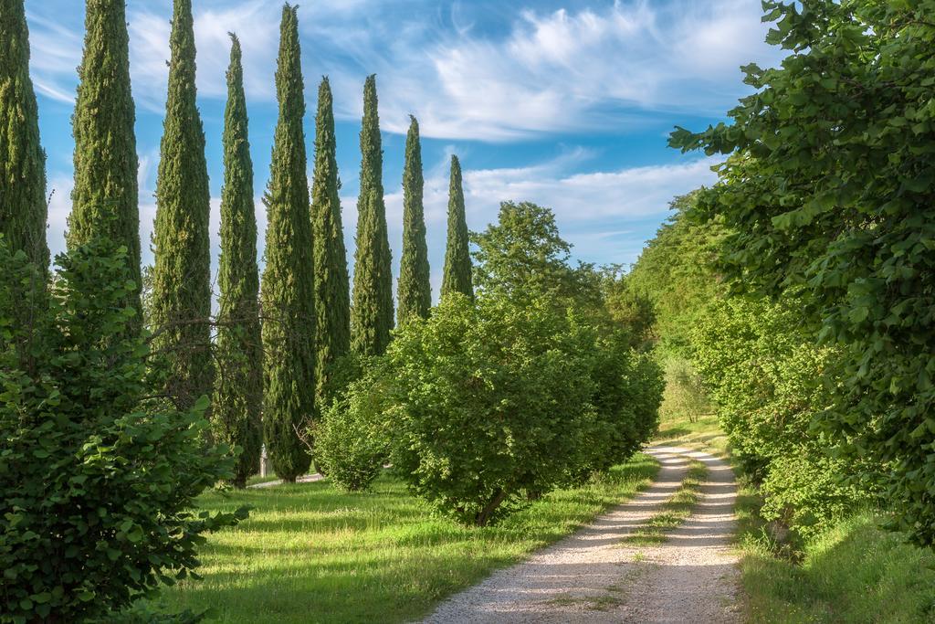 Fattoria Di Vibio Monte Castello di Vibio Exterior foto